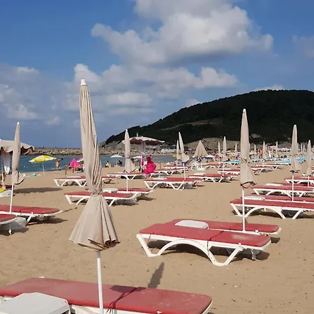 Defne Ağva